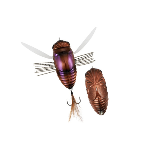 Duo Realis Dekashinmushi Cicada Bug