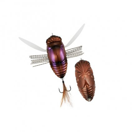 Duo Realis Dekashinmushi Cicada Bug