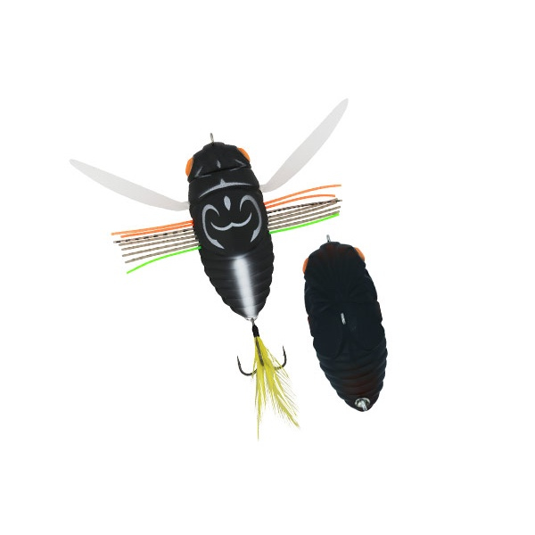 Duo Realis Koshinmushi Cicada Bug