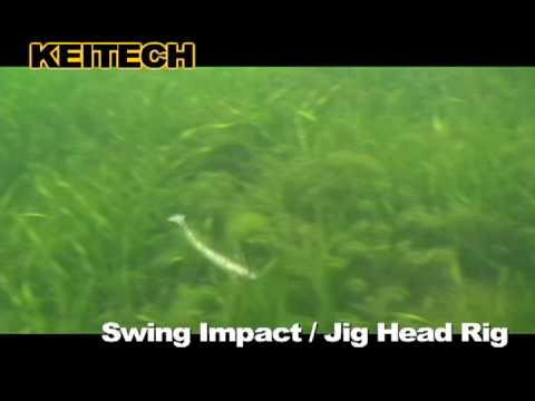 Keitech Swing Impact Swimbaits