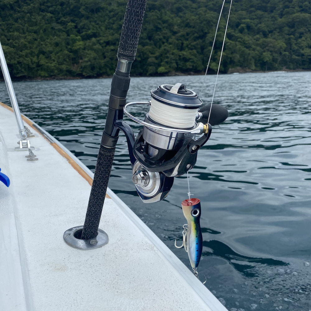 Saltwater Fishing Reel